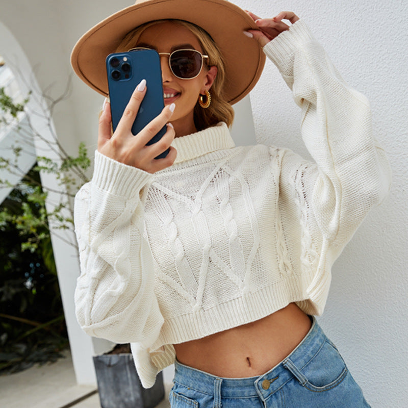 Solid Turtleneck Knit Crop Sweater