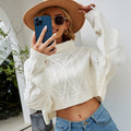 Solid Turtleneck Knit Crop Sweater
